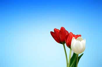 自动化运维的电话在线轰炸