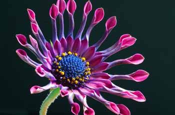 手机短信轰在线轰炸免费