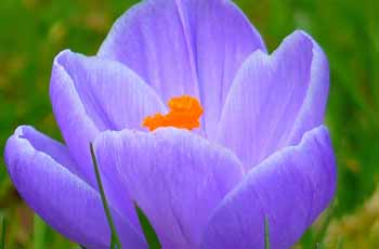 秋思手机号轰炸平台