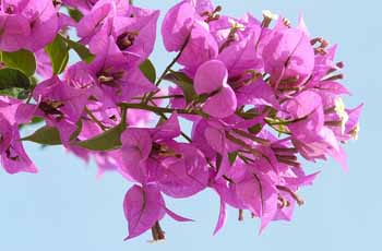 软件激活中心的骚扰短信呼叫软件