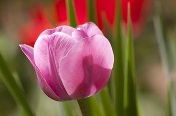 短信压力测试在线网页版