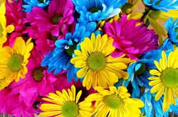 虚拟号码短信发送平台