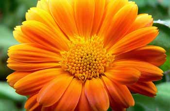 短信网页在线轰炸源码